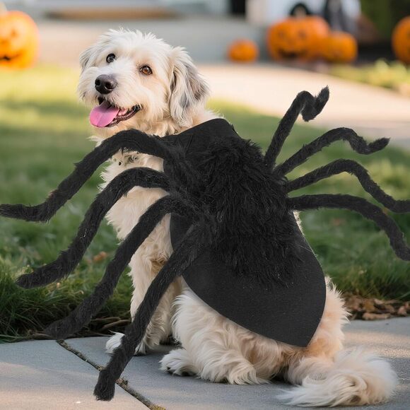 Dog Halloween Spider Costume Scary Pet Outfit Funny Cosplay for Cats Dogs - Picture 3 of 5